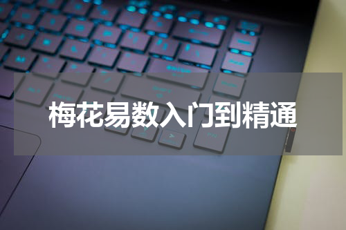 梅花易数入门到精通