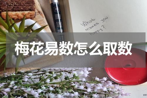 梅花易数怎么取数