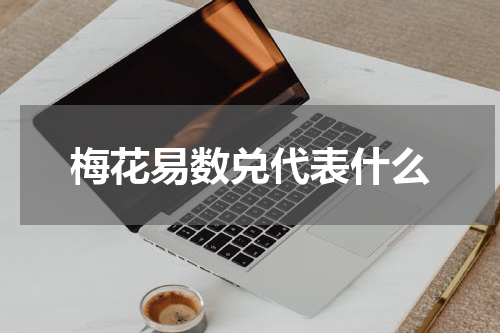 梅花易数兑代表什么
