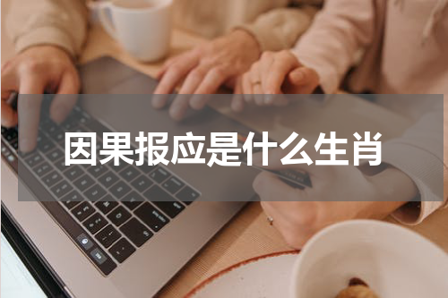 因果报应是什么生肖