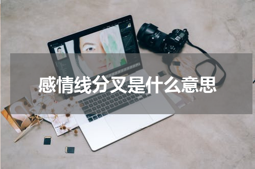 感情线分叉是什么意思