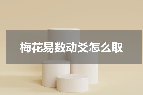 梅花易数动爻怎么取