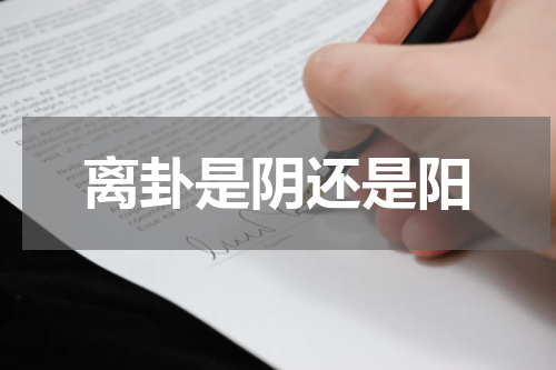 离卦是阴还是阳