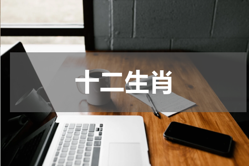 十二生肖