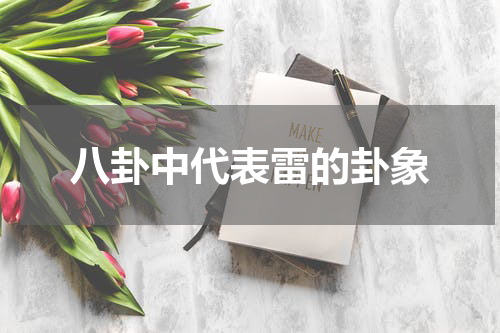 八卦中代表雷的卦象