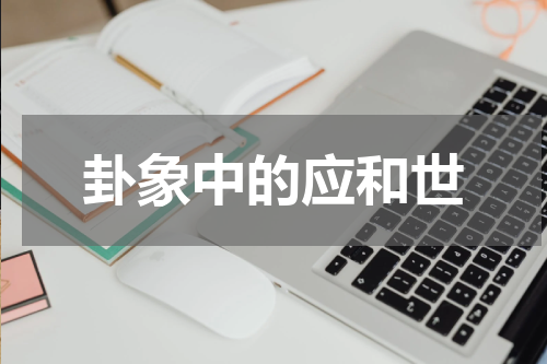 卦象中的应和世