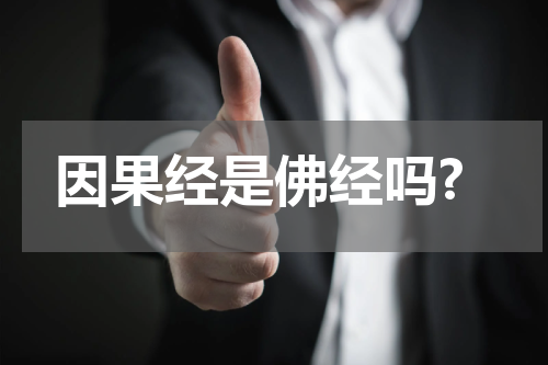 因果经是佛经吗?