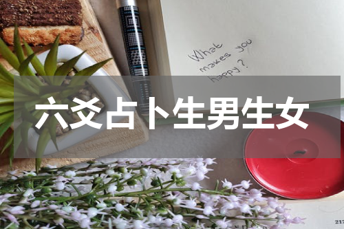 六爻占卜生男生女