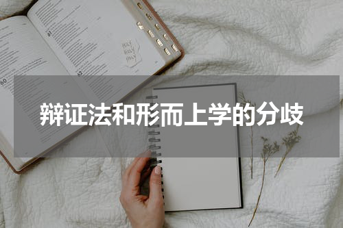 辩证法和形而上学的分歧