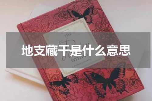 地支藏干是什么意思