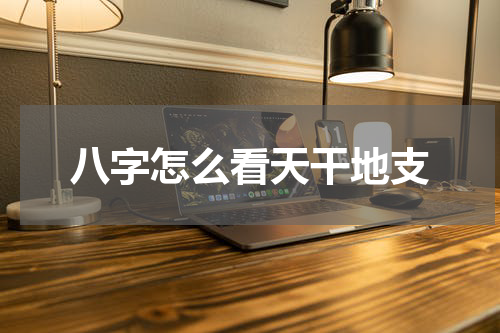 八字怎么看天干地支