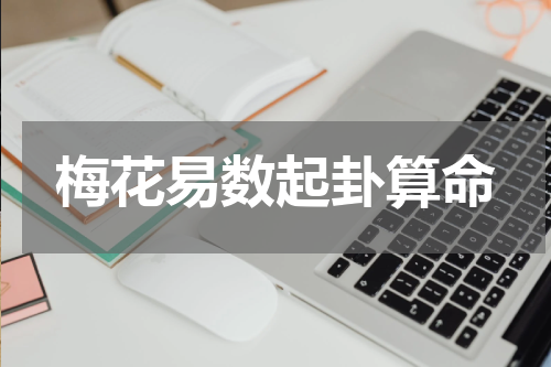 梅花易数起卦算命
