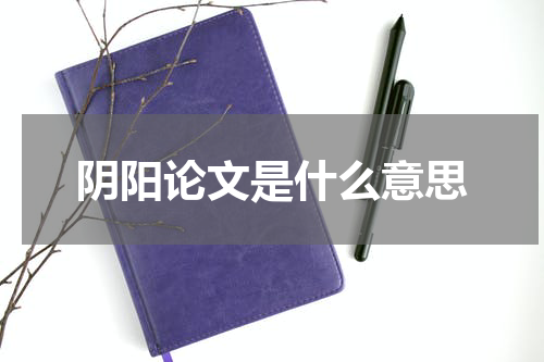 阴阳论文是什么意思