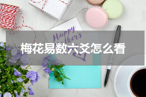 梅花易数六爻怎么看