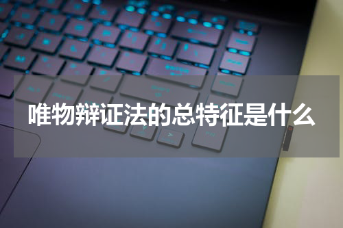 唯物辩证法的总特征是什么