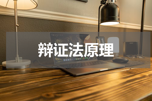 辩证法原理
