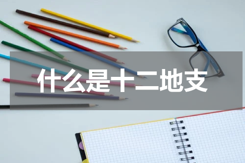 什么是十二地支