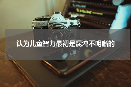 认为儿童智力最初是混沌不明晰的