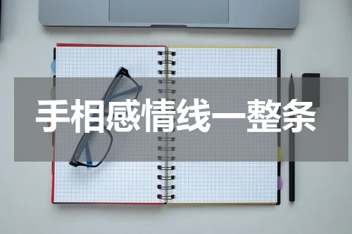 手相感情线一整条