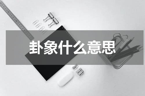 卦象什么意思