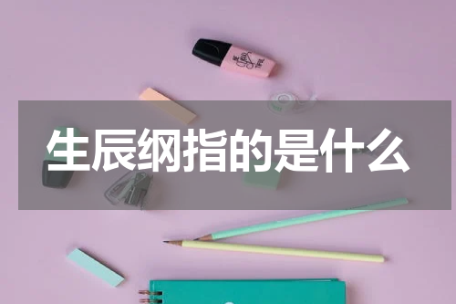 生辰纲指的是什么