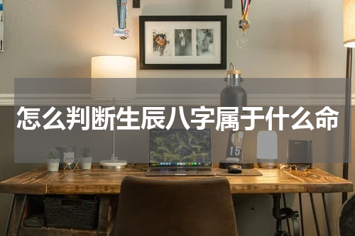 怎么判断生辰八字属于什么命