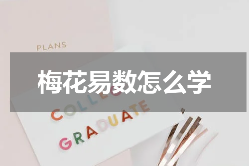 梅花易数怎么学
