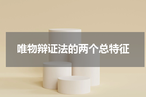 唯物辩证法的两个总特征
