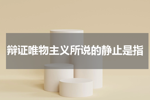 辩证唯物主义所说的静止是指