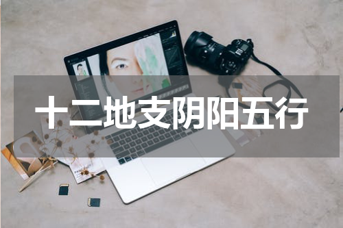 十二地支阴阳五行