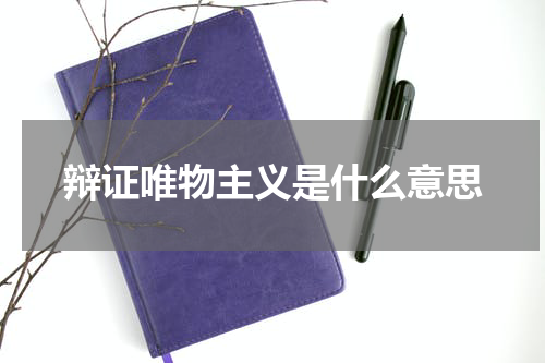 辩证唯物主义是什么意思