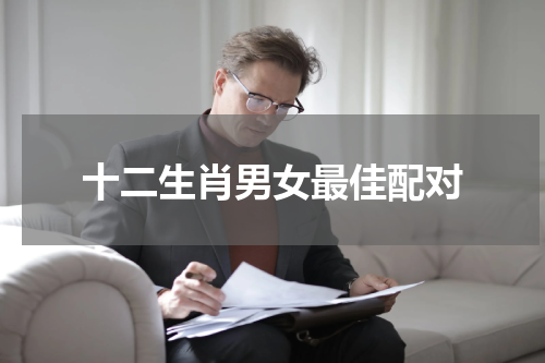 十二生肖男女最佳配对