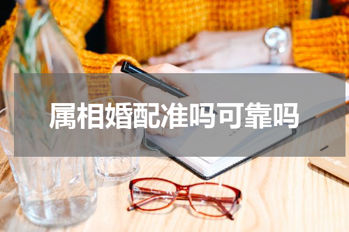 属相婚配准吗可靠吗