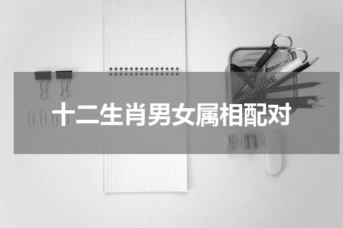 十二生肖男女属相配对