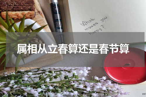 属相从立春算还是春节算