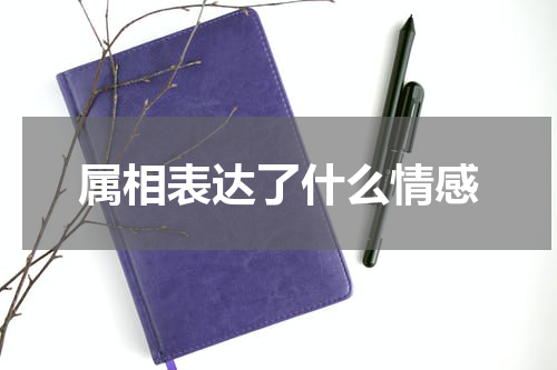 属相表达了什么情感