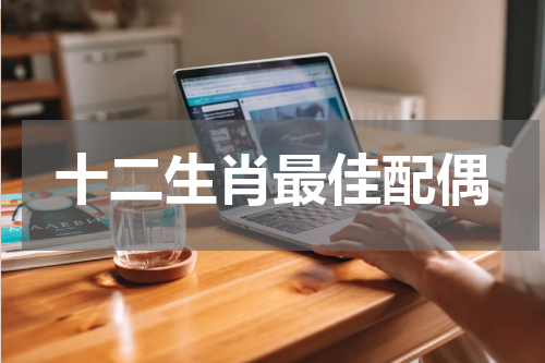 十二生肖最佳配偶