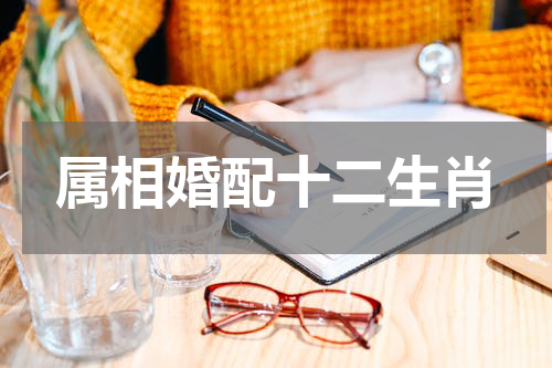 属相婚配十二生肖