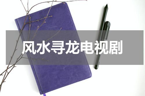 风水寻龙电视剧