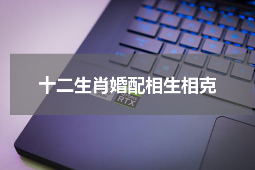 十二生肖婚配相生相克