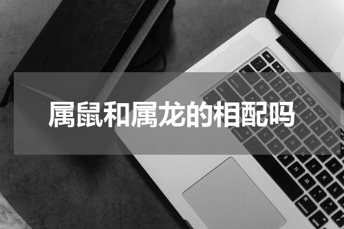 属鼠和属龙的相配吗