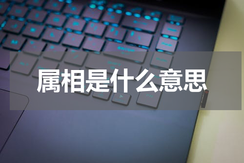 属相是什么意思