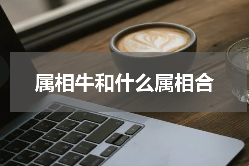 属相牛和什么属相合