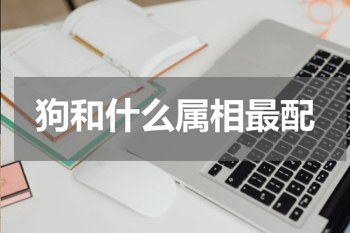 狗和什么属相最配