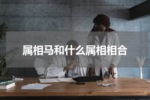 属相马和什么属相相合
