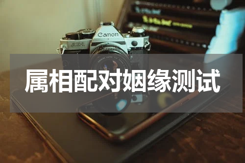属相配对姻缘测试