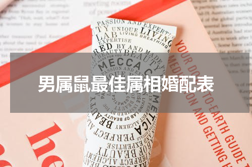 男属鼠最佳属相婚配表