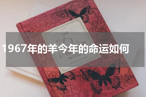 1967年的羊今年的命运如何