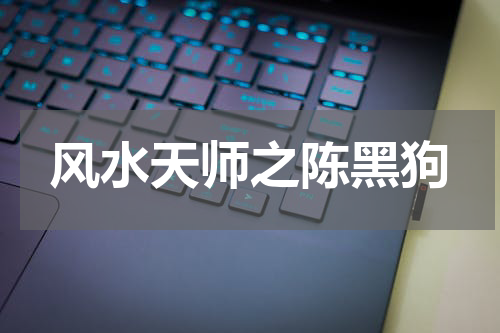 风水天师之陈黑狗