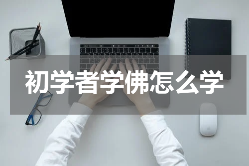 初学者学佛怎么学